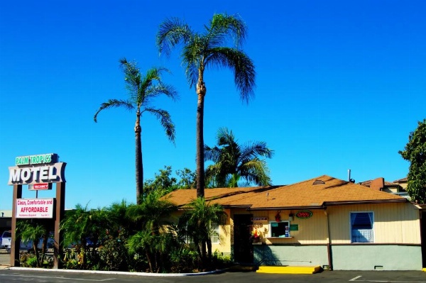 Palm Tropics Motel image 13