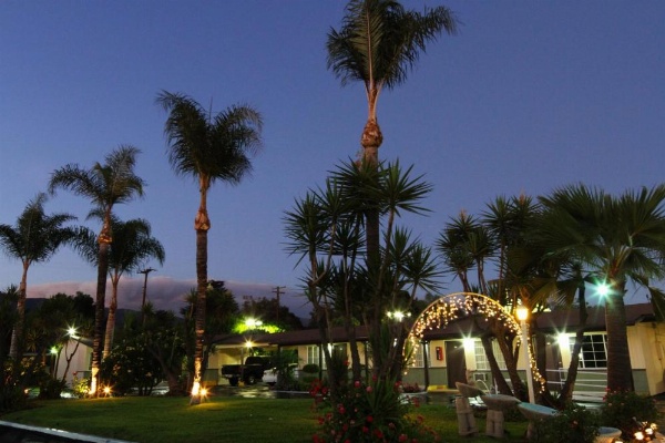 Palm Tropics Motel image 29